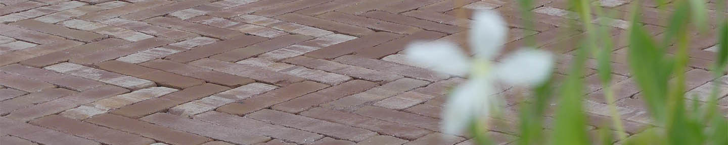 Pflasterklinker Roma Antica